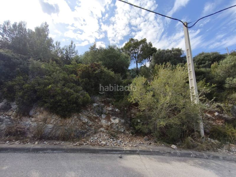Foto 105a545d-c9c2-48da-992f-a497adda06ff. Terreny residencial a costa Cunit - els jardins - els rosers Cunit
