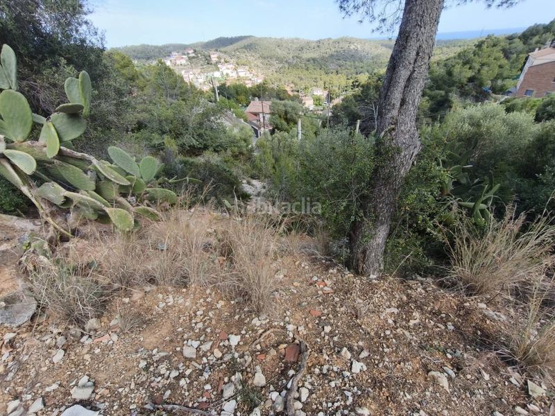 Foto 33f13582-f76c-47a0-9f33-ae8171f97a44. Terreny residencial a costa Cunit - els jardins - els rosers Cunit