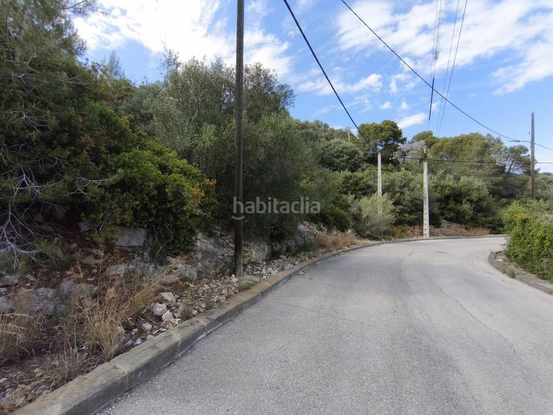 Foto b752655d-23f6-4356-b950-6d0025e3dfaa. Terreny residencial a costa Cunit - els jardins - els rosers Cunit