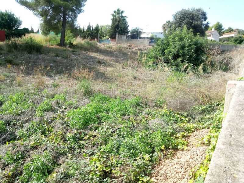 Foto 0ff0c988-2402-41d6-9061-698d2b1173ea. Finca rústica a costa Cunit - els jardins - els rosers Cunit