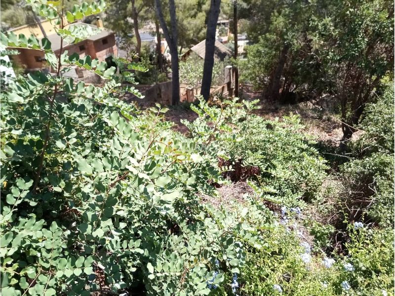 Foto 1cb018be-109a-40ed-9ab4-205f7152f49d. Finca rústica a costa Cunit - els jardins - els rosers Cunit