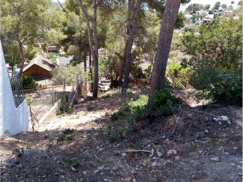 Foto b85ab269-3a73-4e96-987a-5f56019b300f. Finca rústica a costa Cunit - els jardins - els rosers Cunit