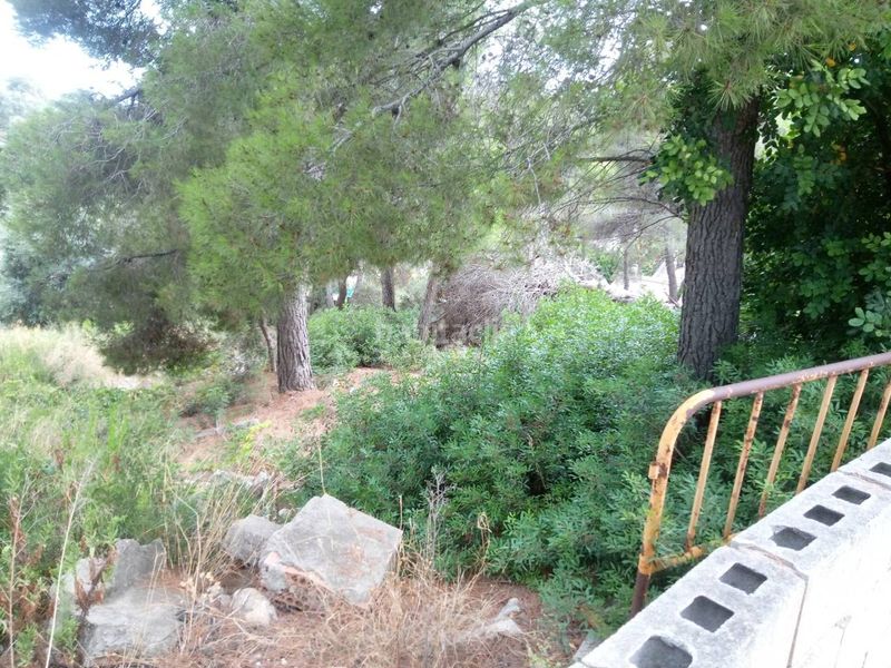 Foto 5645c402-b483-4b32-9008-21a015411208. Finca rústica a costa Cunit - els jardins - els rosers Cunit