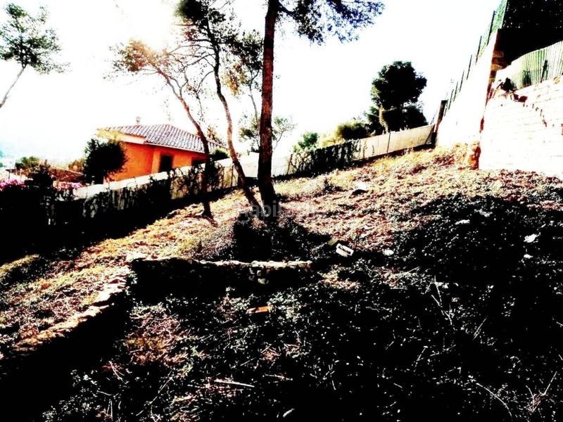 Foto 1ed8c827-fa55-43cc-bd88-a605cd23934b. Finca rústica a Mas Trader-Corral d´En Tort-Corral d´En Cona Cubelles
