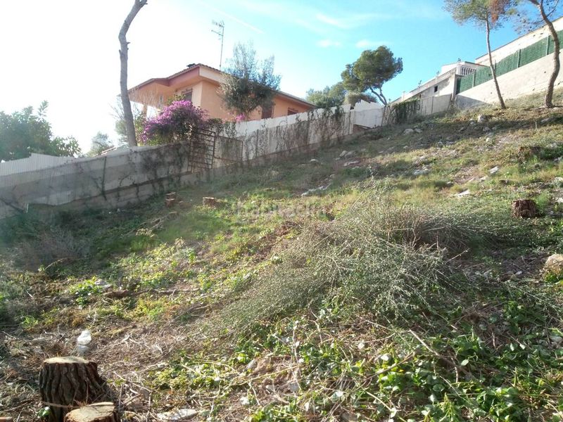 Foto 27653e82-1ebe-4c35-8e7d-309f146ff8bc. Finca rústica a Mas Trader-Corral d´En Tort-Corral d´En Cona Cubelles