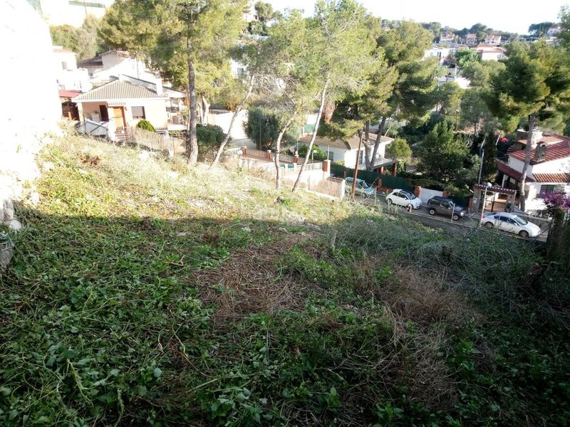 Foto 98ac8f97-fe00-4204-aa3f-530f442d2d7b. Finca rústica a Mas Trader-Corral d´En Tort-Corral d´En Cona Cubelles