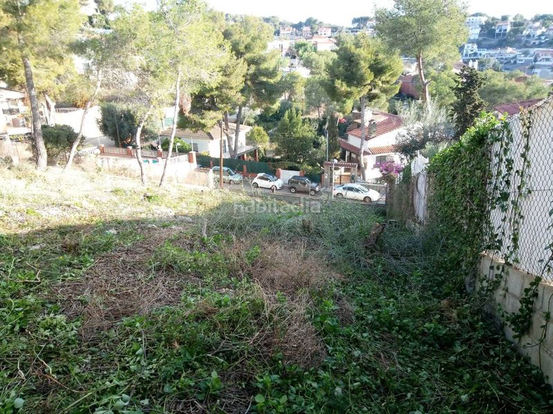 Foto d0bd88c4-d541-4924-ab02-22e334ccfc86. Finca rústica a Mas Trader-Corral d´En Tort-Corral d´En Cona Cubelles