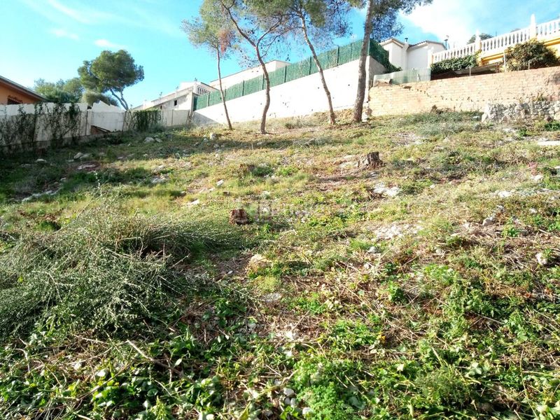 Foto f733e633-484d-45e2-9755-18c90f691d68. Finca rústica a Mas Trader-Corral d´En Tort-Corral d´En Cona Cubelles