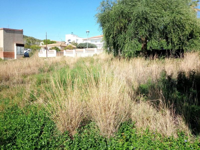Foto 6e6c8a1d-4bdb-4ec8-a942-c6e0a49055da. Finca rústica a Cunit residencial Cunit
