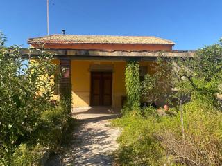 Masia a Petrer. Encanto rural cerca de la ciudad  parcela de 4300 m2 con casa ru
