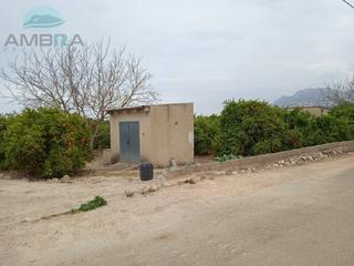 Terreny residencial a Pego. Terreno de naranjos con caseta de aperos