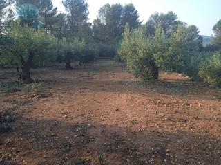 Terreny residencial a Vall de Gallinera. Terreno con permiso de caseta de aperos