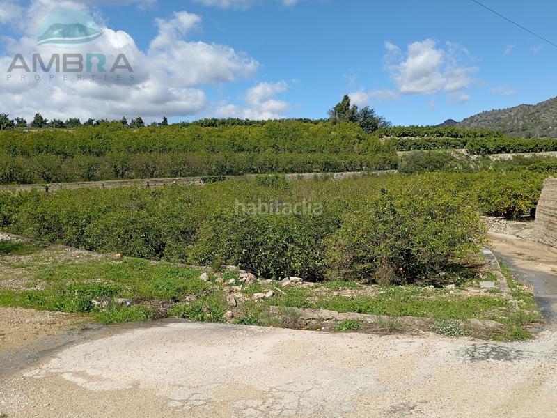 Foto 9ba6bd00-09cf-4cfd-96b1-11f9775b622c. Terreno residenziale in Atzúbia (L´)