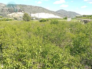 Terreny residencial  N/a. Terreno rustico en adsubia
