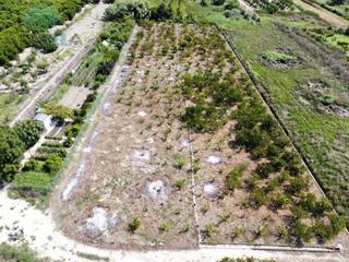 Finca rústica  N/a. Terreno rustico en les marjals majors
