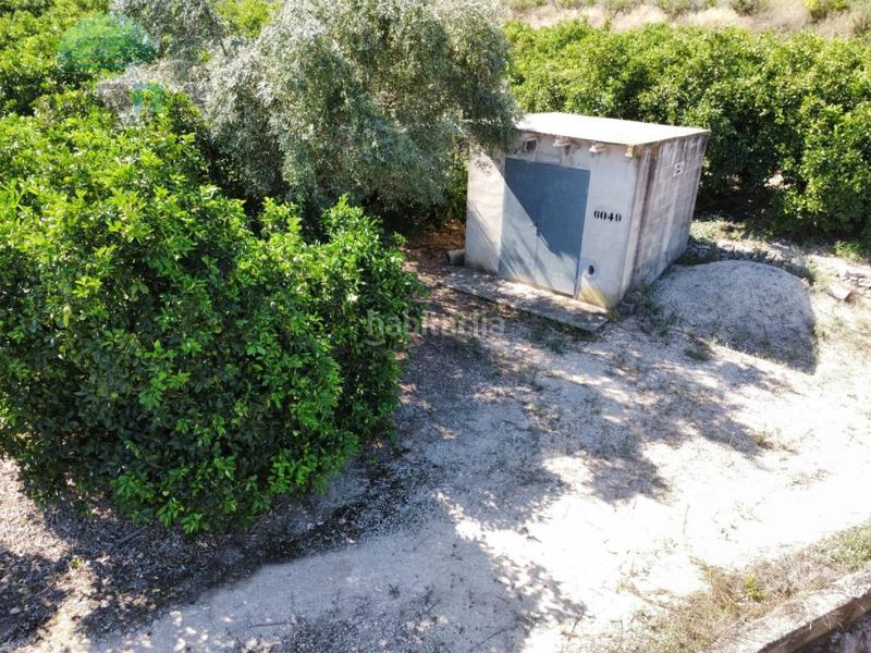 Foto 2e4236e6-096f-4e28-9476-2654b38f1e61. Fondo rustico in Orba