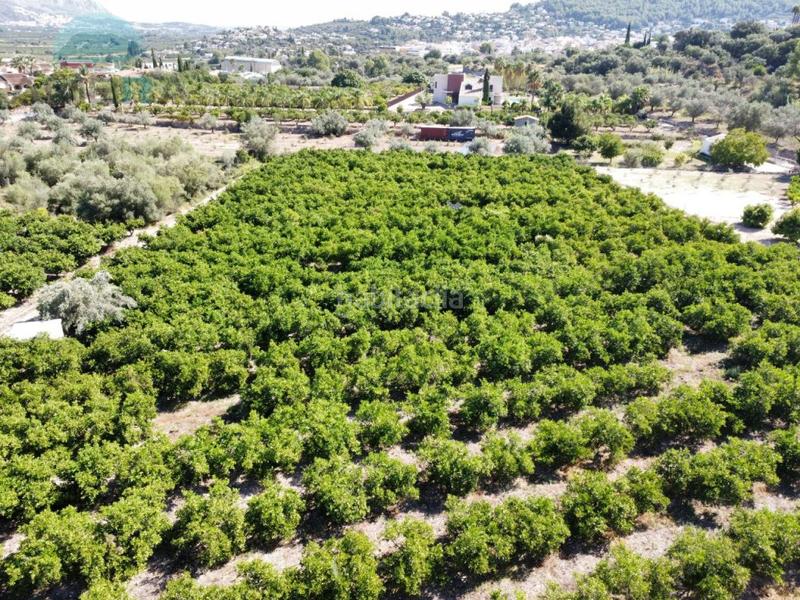 Foto 5a4af0f4-52e3-4d63-9ab9-57f40129e1f1. Fondo rustico in Orba