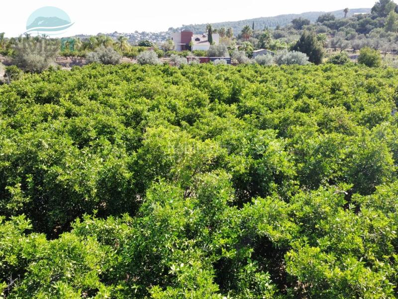 Foto 63eaf457-0f4c-4feb-94bd-412f00becbc7. Fondo rustico in Orba