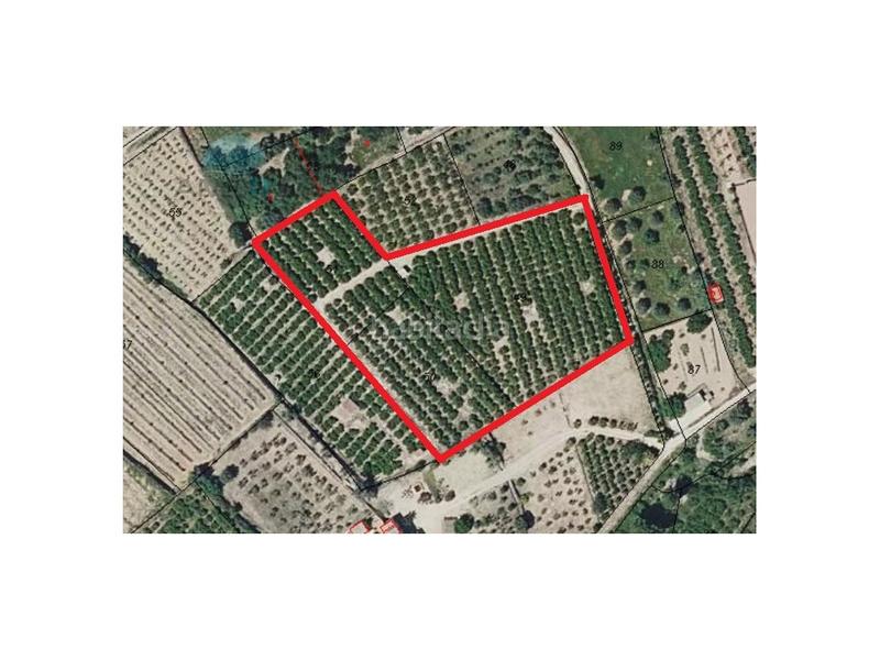 Foto d5d04aac-4ba4-4920-8cf9-fab7b2ccc8f5. Fondo rustico in Orba