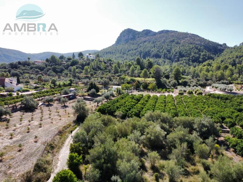 Foto db4bfc71-7360-4a26-805e-0c3c126bcd4b. Fondo rustico in Orba