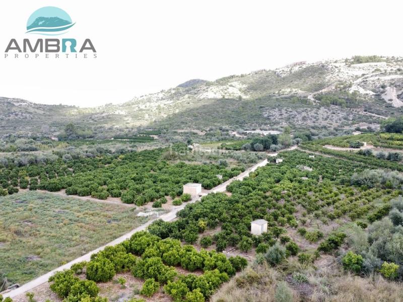 Foto 098177d8-2354-45b1-8fff-95ee09cc33d0. Landgut in Pego