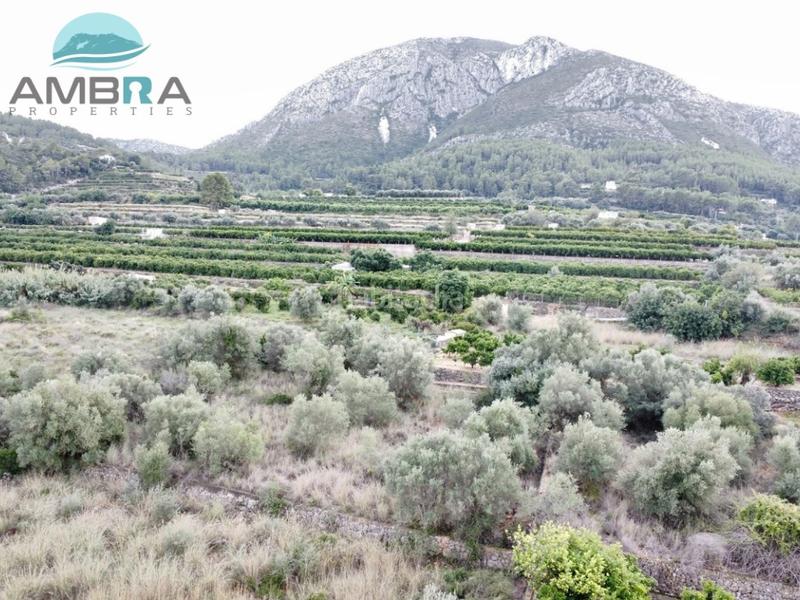 Foto 266c5ecf-ab27-42ff-a0e7-6f2408bc0a59. Landgut in Pego