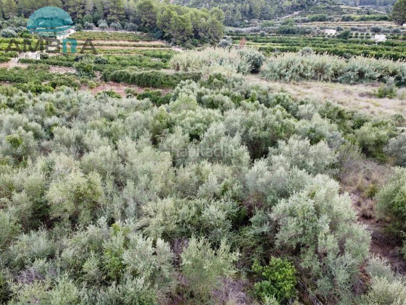 Foto 5ee255db-b736-4f80-8351-5967fe997113. Landgut in Pego