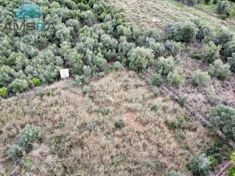 Foto 69d8f2cb-8ba8-4560-9bec-dafadd0b4bca. Landgut in Pego