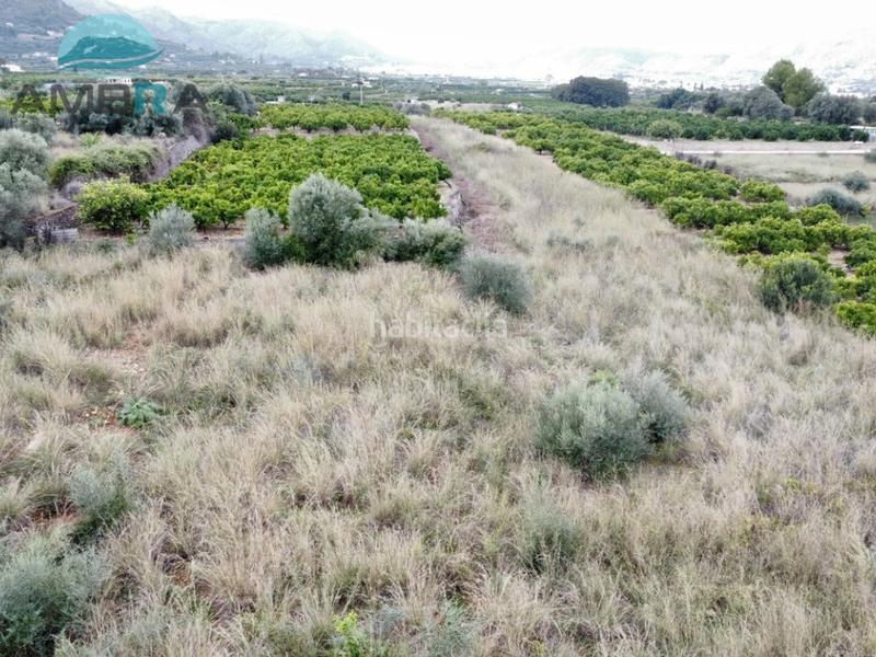 Foto 6fc72555-9271-414c-a382-ca9e19e97d7a. Landgut in Pego