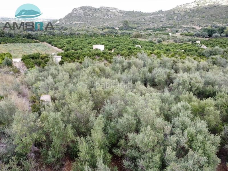 Foto 7c0904a7-112d-46f3-b53f-2c00856b5af1. Landgut in Pego