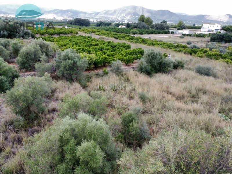 Foto a23c5f49-0305-4c0d-a68a-9fcb11f5c174. Landgut in Pego