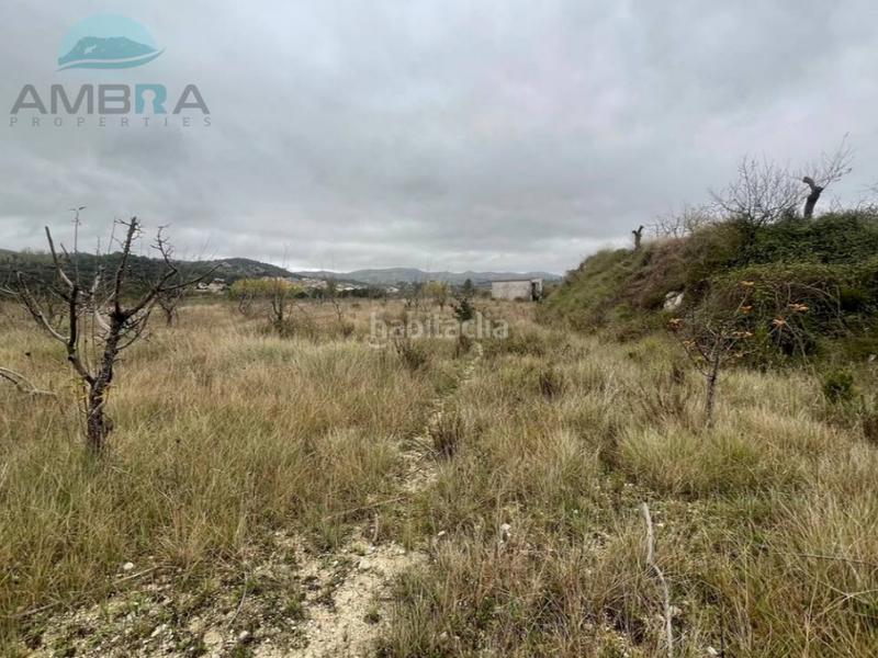 Foto 545d3aab-dc1c-4223-93c3-6dbea6ec413c. Fondo rustico in Vall d´Alcalà (la)