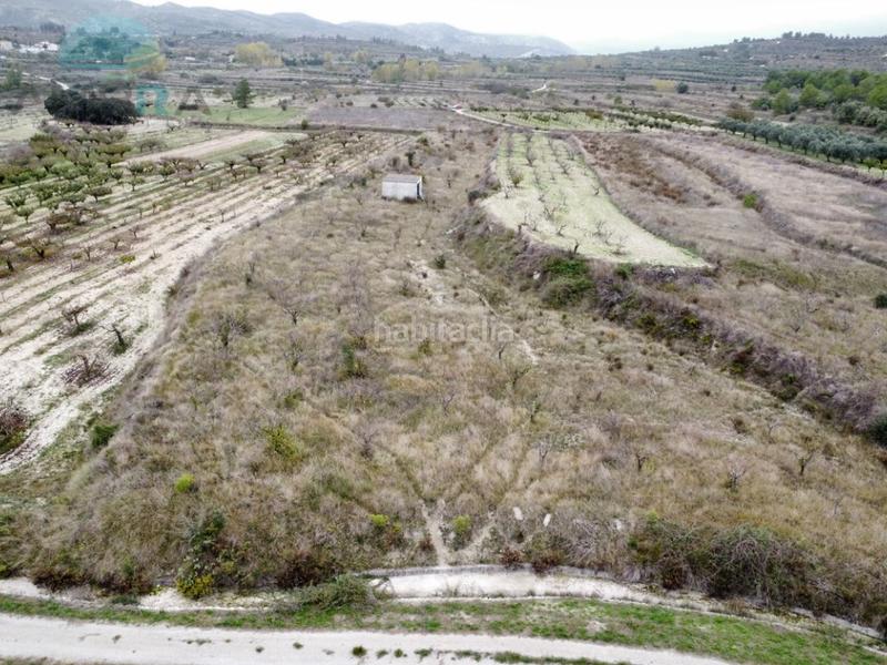Foto 5861297e-d359-42d7-b8c4-0175e298e0e1. Fondo rustico in Vall d´Alcalà (la)