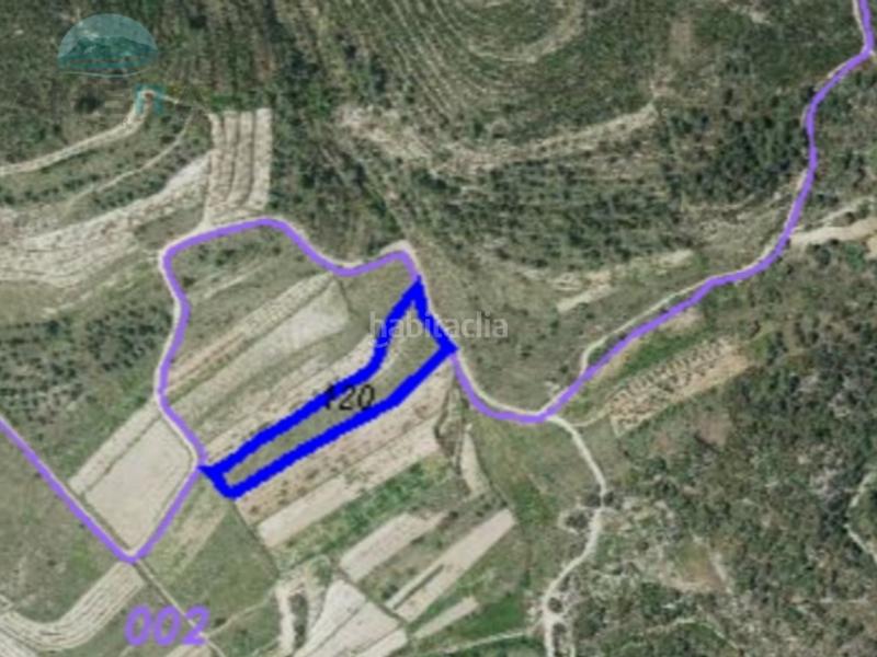 Foto 995f841f-50d0-412a-ac61-30f5d1f627a3. Fondo rustico in Vall d´Alcalà (la)