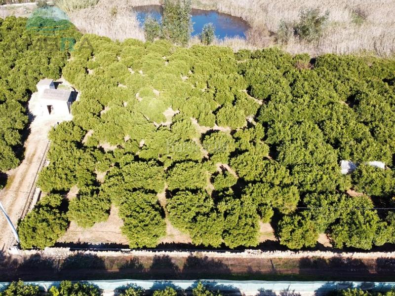 Foto 4454e4e8-b2f4-4bd5-9774-1eac31cc75ee. Rural plot in Pego