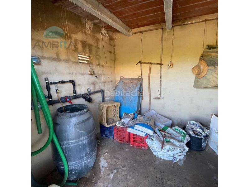 Foto 68000e7f-556d-4518-8219-c9dff29c5616. Rural plot in Pego