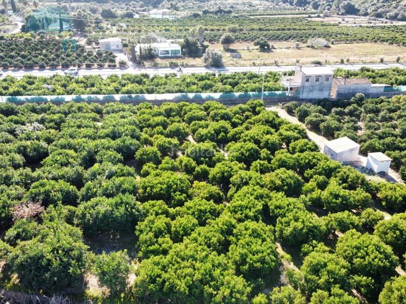 Foto 89bd1ca9-26d9-4d53-b000-d3ad812a1f31. Rural plot in Pego