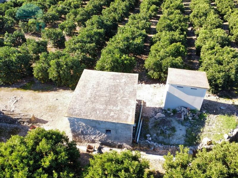 Foto 8f7e2135-54c3-4cd8-9208-1fcbfbb6fa50. Rural plot in Pego