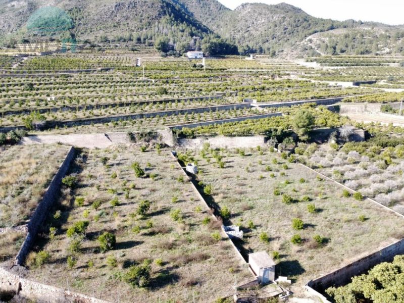 Foto 1adabbb1-dfb9-4534-81bf-b4e8e05f1df9. Finca rústica a Atzúbia (L´)