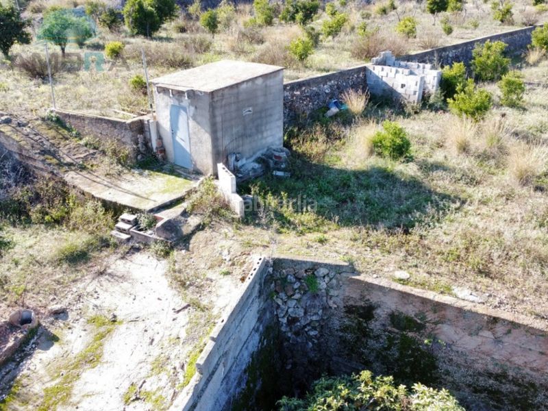 Foto 37dca6fc-ac63-4a2e-ad99-c02a47ac604d. Finca rústica a Atzúbia (L´)