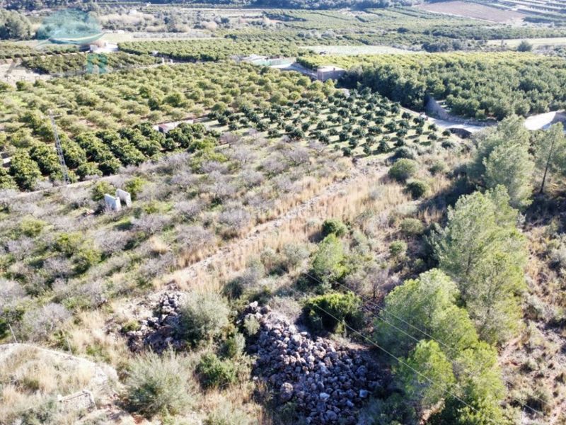 Foto 78c65408-deac-4f83-bc7e-085e3c0312b3. Finca rústica a Atzúbia (L´)