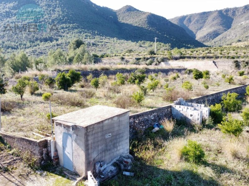 Foto 7fbd6d41-d2ca-4925-baaf-da1e59c4be3d. Finca rústica a Atzúbia (L´)