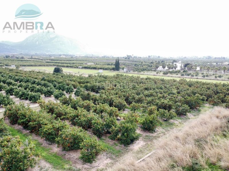 Foto 1ba3aeef-d353-4ea9-9df9-ef9adee4ad5e. Finca rústica a Pego
