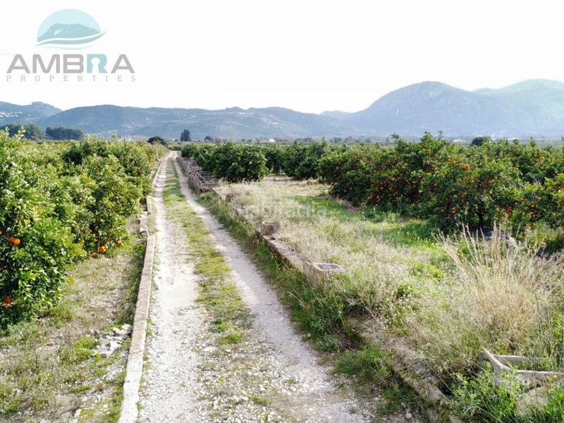 Foto 412137da-bddf-471c-a7d9-9ea5876a8264. Finca rústica a Pego