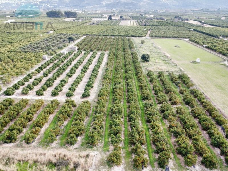 Foto 4487d939-19fb-491e-9ada-f1a493c9190c. Finca rústica a Pego