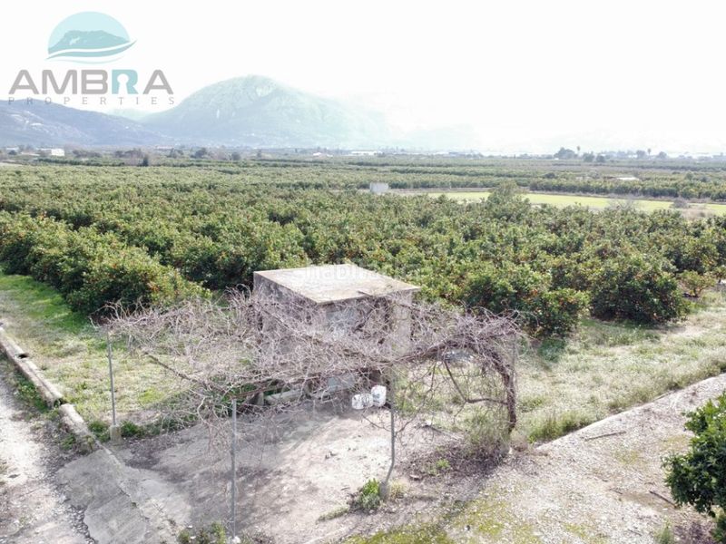 Foto 68cbde43-4056-4a1f-a256-66e9e701bfbd. Finca rústica a Pego