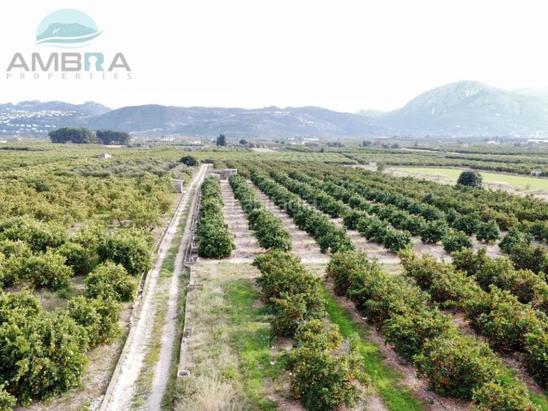 Foto 6a42ca30-1b06-4fe3-9d16-4ab8fd1d9ed7. Finca rústica a Pego