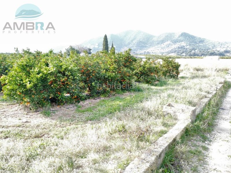 Foto 73f8289f-12d8-43e8-95b3-01c9d07b2339. Finca rústica a Pego