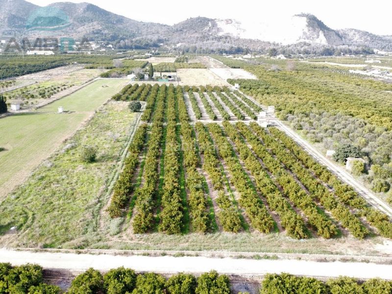 Foto 97a27070-ff53-4805-ab43-5d931e8ef45d. Finca rústica a Pego