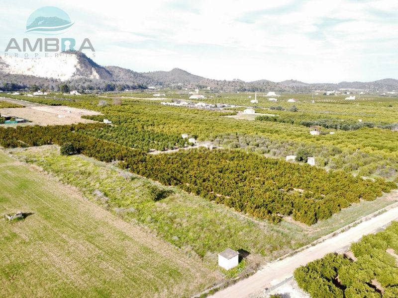 Foto a6e1e428-1cdd-4815-85ef-08edaab36595. Finca rústica a Pego